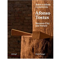 LIVRO AFONSO TOSTES ENTRE A...