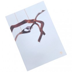 LIVRO MARCELO SILVEIRA ATA