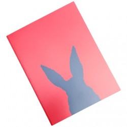 LIVRO DANIEL SENISE QUASE AQUI